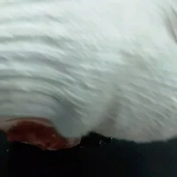 画像396
