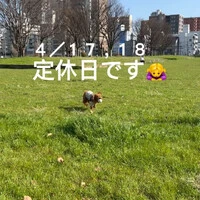 画像496