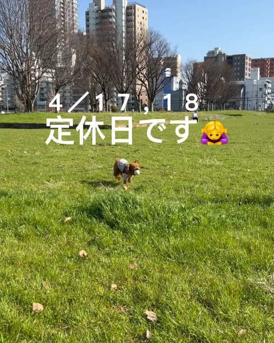 画像496
