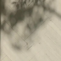 画像621