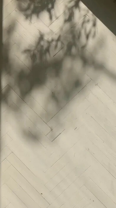 画像621