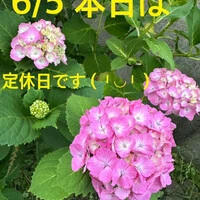 画像633
