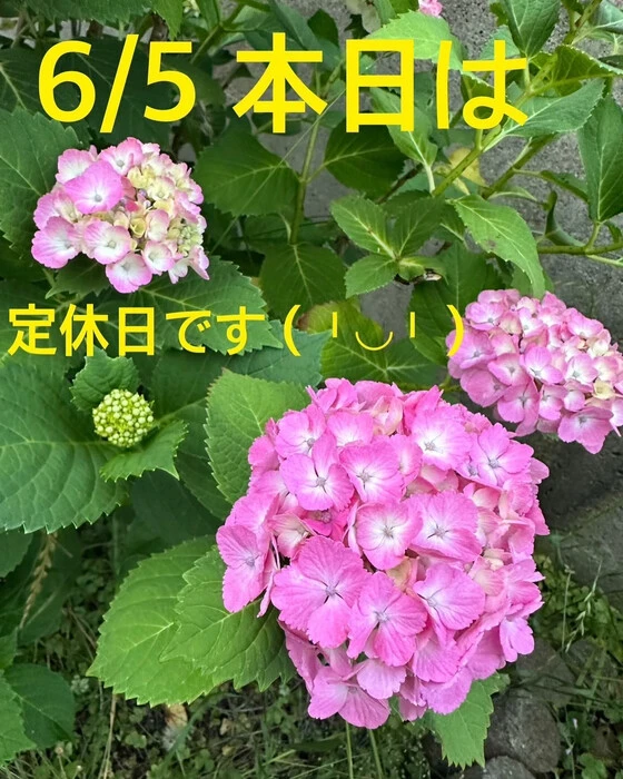画像633