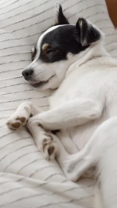 画像635